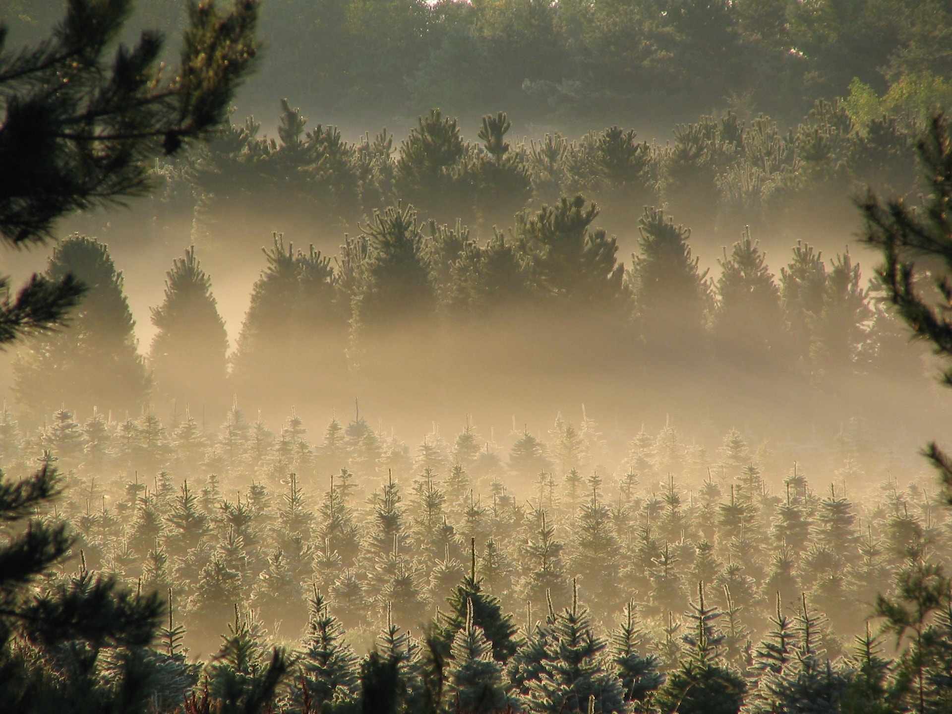 Top 12 Outdoorsy Holiday Gifts