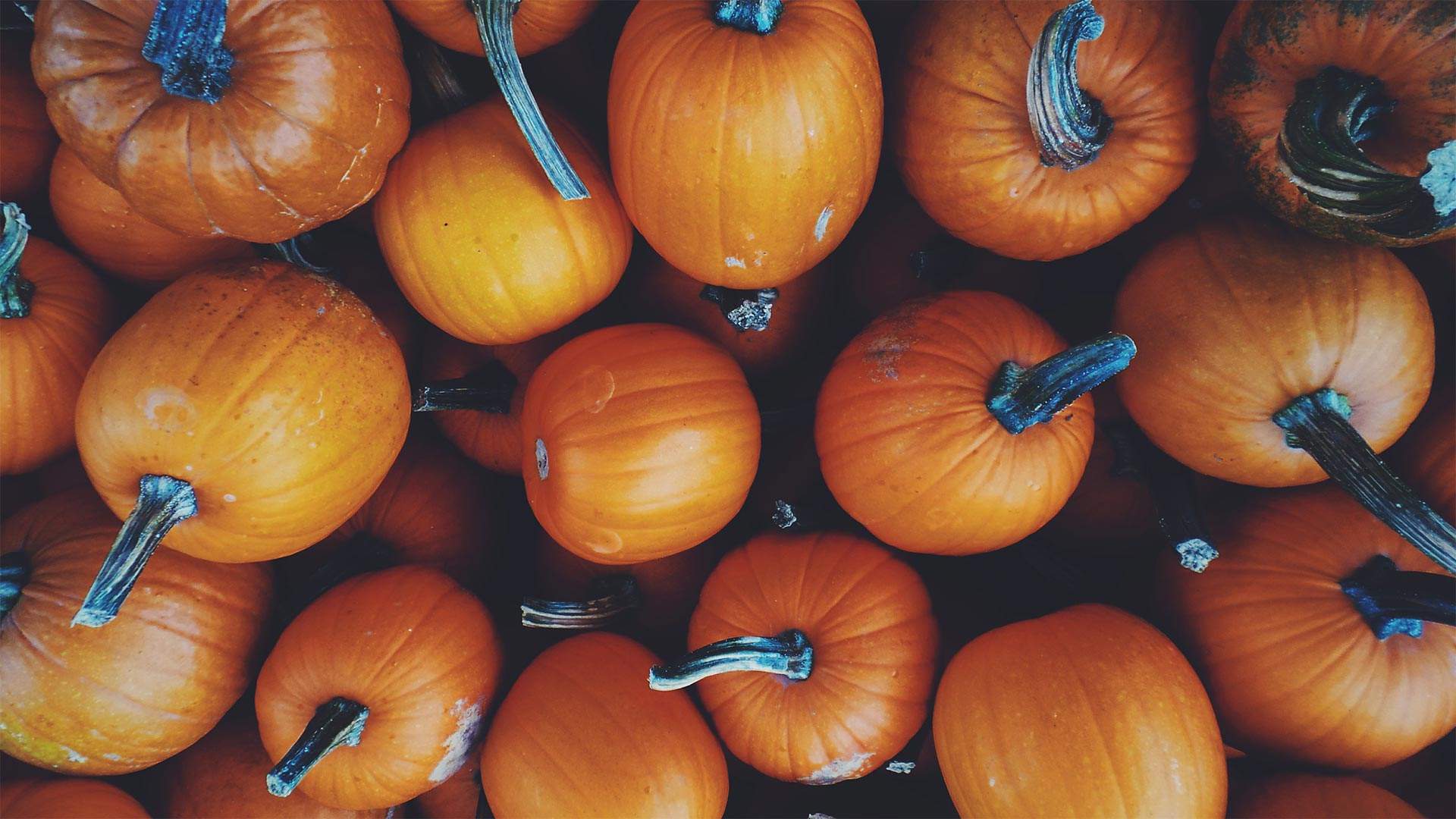 How to have a socially distanced Halloween outside