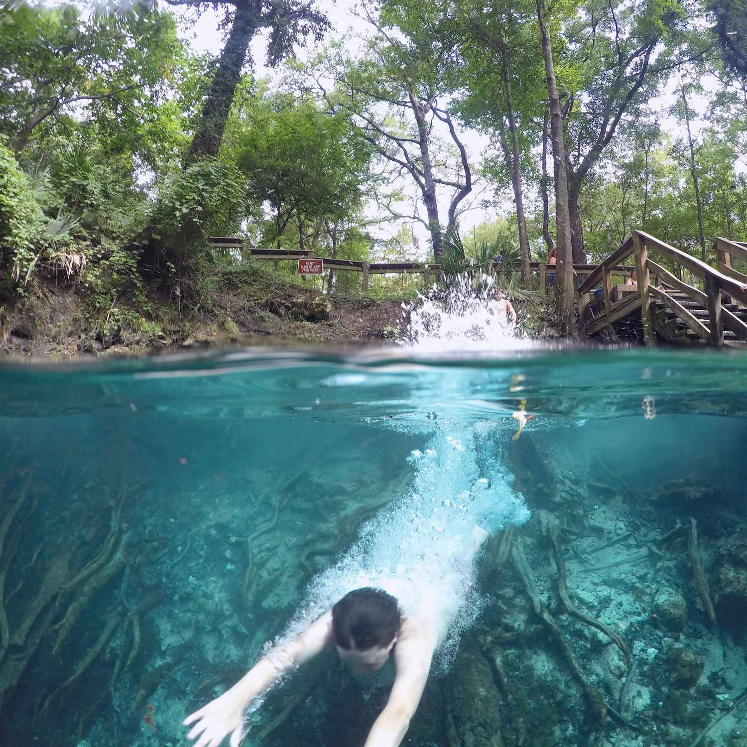 Beat the summer heat at Florida&#8217;s freshwater springs
