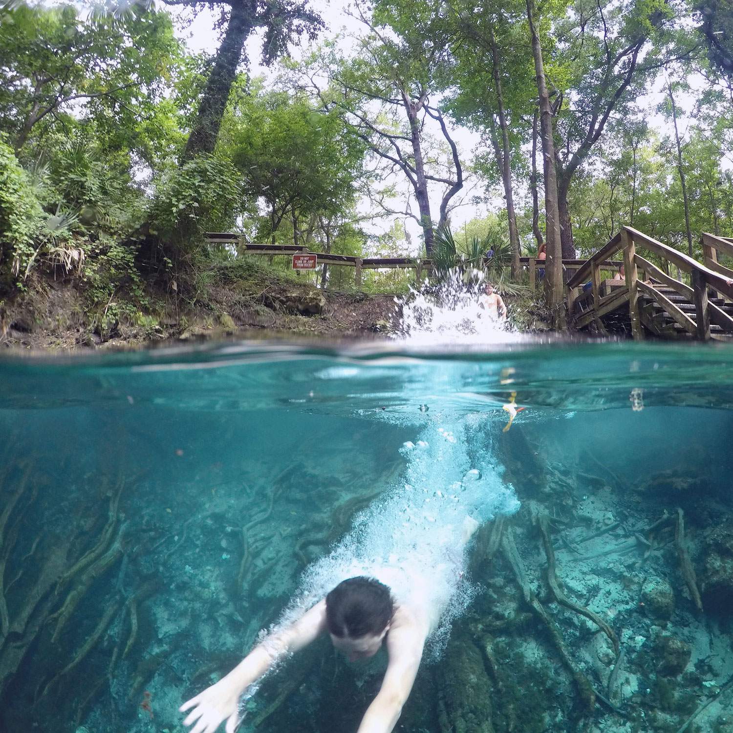 Beat the summer heat at Florida’s freshwater springs