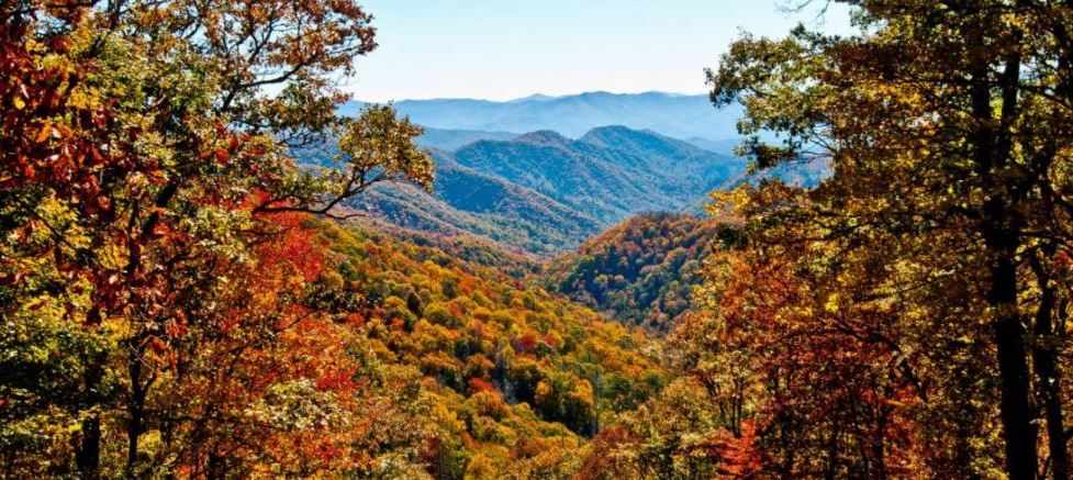 One Week in Great Smoky Mountains National Park